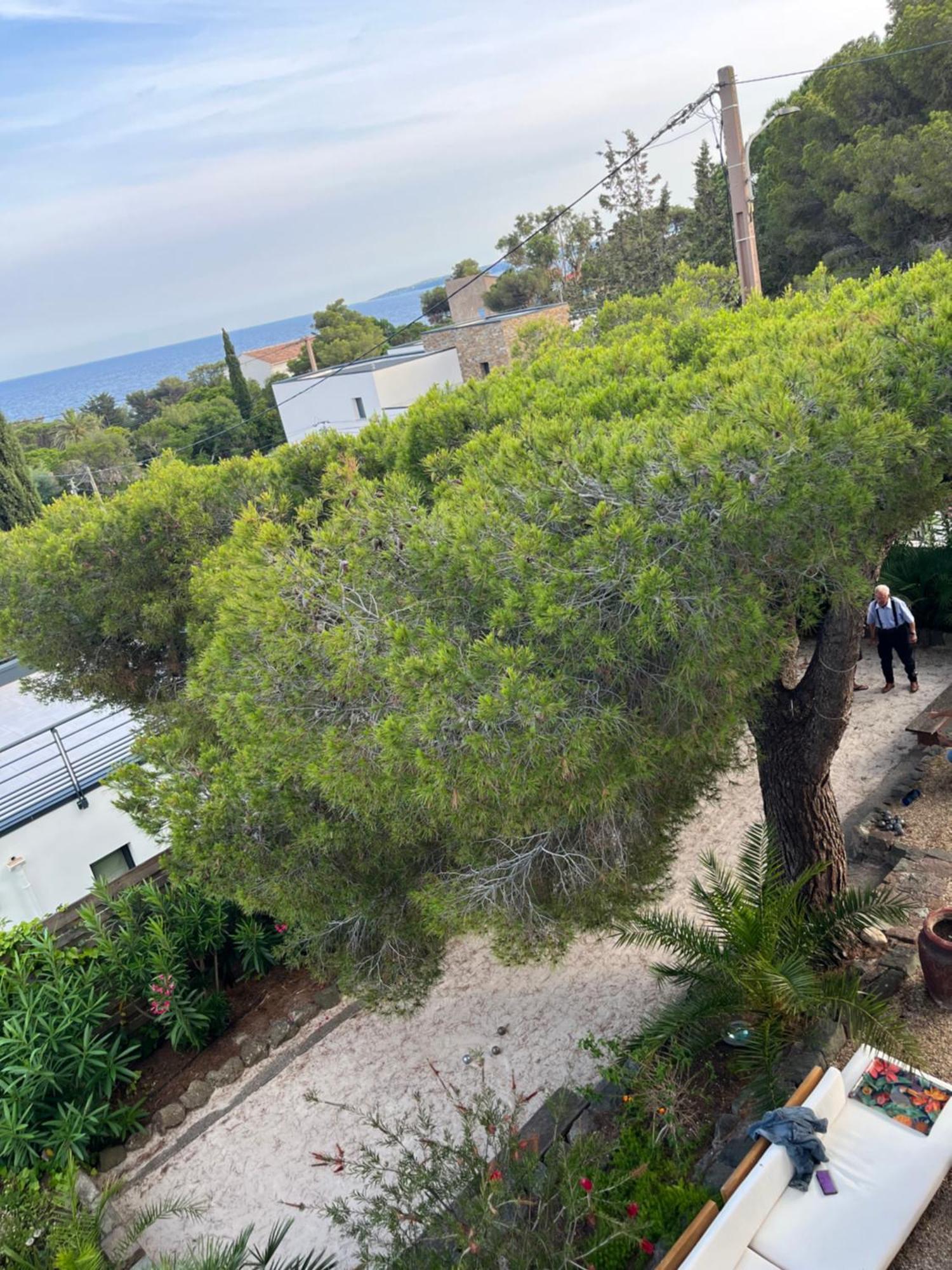 Villa Paradis Les Issambres Bagian luar foto
