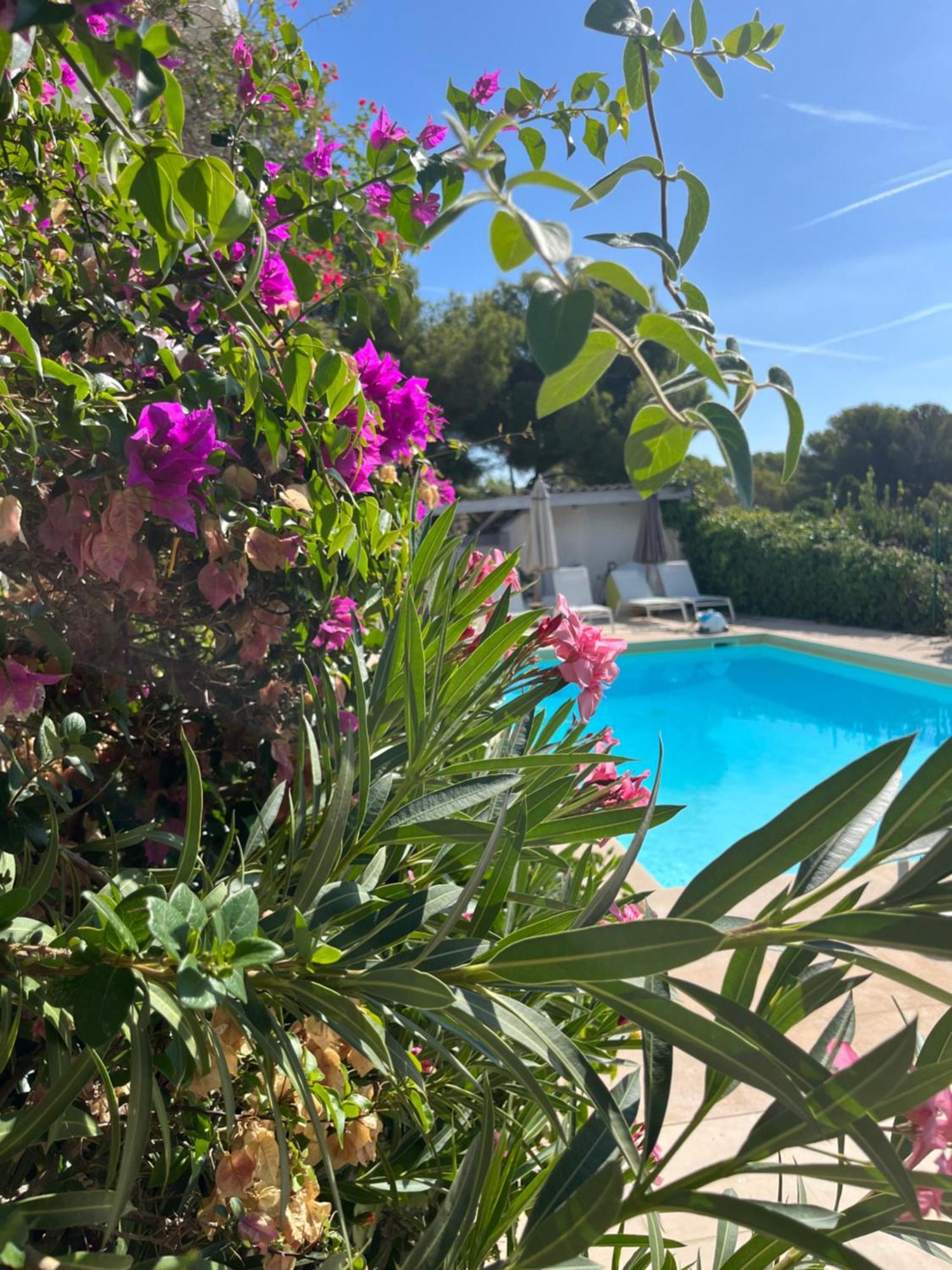 Villa Paradis Les Issambres Bagian luar foto